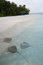 Free Stingray On The Beach Stock Photos - 5262003