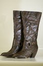 Free Ladies Boots Royalty Free Stock Photos - 5272658