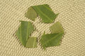 Free Recycling Symbol Made From Leaves Royalty Free Stock Photography - 5279857