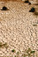 Free Dried Up Dry Dock Royalty Free Stock Photos - 5271658