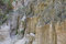 Free Providence Canyon Royalty Free Stock Photo - 5275675