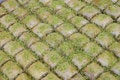 Free Baklava Royalty Free Stock Images - 5287889