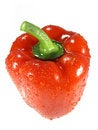 Free Red Bell Pepper Royalty Free Stock Photos - 5288118