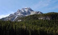 Free Mountain Peak And Forests Stock Image - 5293511
