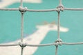 Free Knot Stock Photography - 5297402