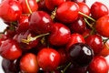 Free Red Cherries Royalty Free Stock Photography - 5297787