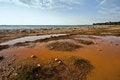 Free Pond On Red Dirt Royalty Free Stock Images - 5297809
