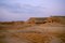 Free Desert Landscape Royalty Free Stock Photos - 5290498