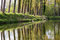 Free Reflection Of Trees In Water. Royalty Free Stock Images - 5292169