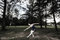 Free Outdoor Ballet Stock Image - 5299011