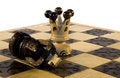 Free Checkmate Royalty Free Stock Image - 532926