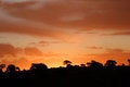Free Kalahari Sunset Royalty Free Stock Image - 5307316