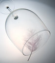Free Glass And Fluff Royalty Free Stock Photos - 5312428