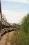 Free Prairie Train Stock Images - 5310784