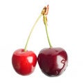 Free Two Cherries Stock Photos - 5321343