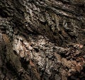 Free Textured Stock Photography - 5322022