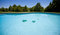 Free Wide Angle View Of A Garden Pool Royalty Free Stock Photos - 5323208