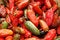Free Jalapeno S Drying At Market Royalty Free Stock Image - 5324356