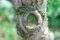 Free Green Tree Scar Royalty Free Stock Images - 5329829