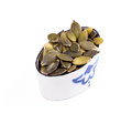 Free Pumpkin Seed Stock Photos - 5332573