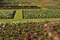 Free Botanical Garden Royalty Free Stock Photos - 5336818