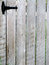 Free Garden Gate Royalty Free Stock Photo - 5337895