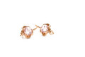 Free Golden Ear-ring Royalty Free Stock Images - 5342089