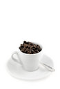 Free Coffee Cup With Beans, Shallow Depth Of Field Royalty Free Stock Photo - 5342165