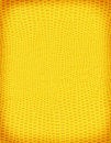 Free Yellow Lizard Skin Stock Photo - 5343160