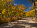 Free Autumn Journey Royalty Free Stock Photo - 5347185