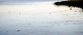 Free The Pond At Dawn (Mogan Park, Ankara/Turkey) Stock Image - 5347271