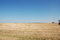 Free Wheat Field And Wind Electricity Generaters Royalty Free Stock Image - 5347006