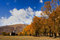 Free Tibet Stock Image - 5347561