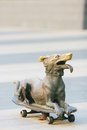 Free The Dog Stock Image - 5352891