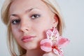 Free Rosy Orchid Stock Images - 5354414