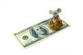 Free Rich Mouse Royalty Free Stock Image - 5357386