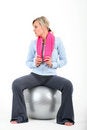 Free Woman In Gym Outfit Exercising Stock Photos - 5357713