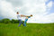 Free Young Family Jumping Royalty Free Stock Photo - 5350735