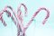 Free Candy Canes Isolated On Light Blue Royalty Free Stock Photography - 5354927