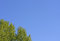 Free Green On Blue Stock Images - 5355974