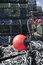 Free Lobster Pots Stock Photos - 5357893