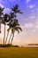 Free Beautiful Tropical Beach Stock Photo - 5358160
