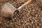 Free Turkish Coffee Pot. Royalty Free Stock Photos - 5359588