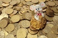 Free Rich Mouse And His Money Stock Photography - 5365572