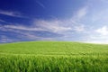 Free Agriculture Royalty Free Stock Photos - 5365948