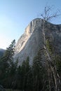 Free Natural Landmark Destination El Capitan Royalty Free Stock Photo - 5367045