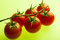 Free Cherry Tomato Stock Images - 5364294