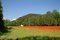 Free Poppy Field With A Farmhouse Stock Photography - 5367412