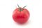 Free Tomato Royalty Free Stock Photos - 5367478