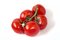 Free Tomato Royalty Free Stock Image - 5367496